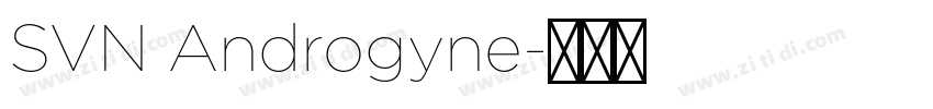 SVN Androgyne字体转换